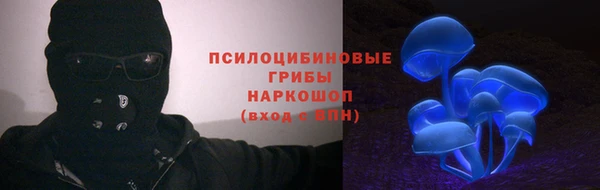 ПСИЛОЦИБИНОВЫЕ ГРИБЫ Белоозёрский