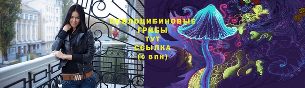 мяу мяу мука Беломорск