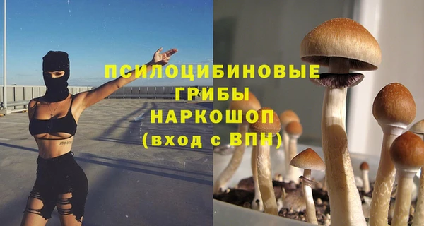 мяу мяу мука Беломорск