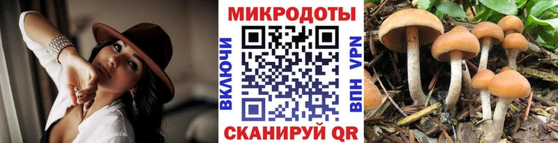 Псилоцибиновые грибы GOLDEN TEACHER Тотьма